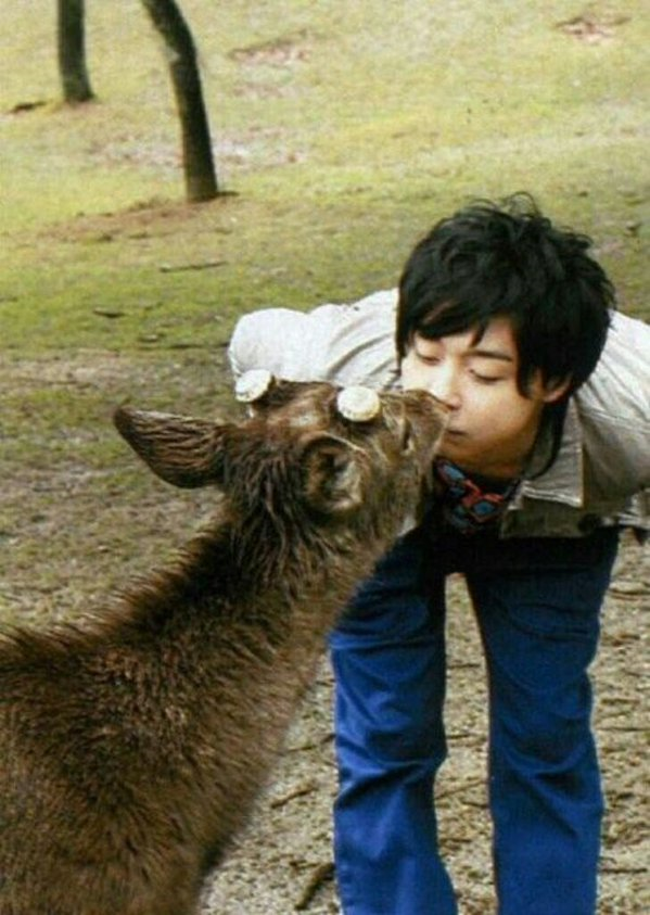 KinKi Kidsを語ろう☆Part2