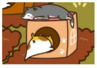 犬と猫どちらも好きな人が集まるトピ♡