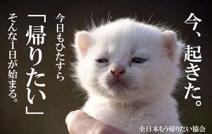 朝、起きて最初に考えたこと!