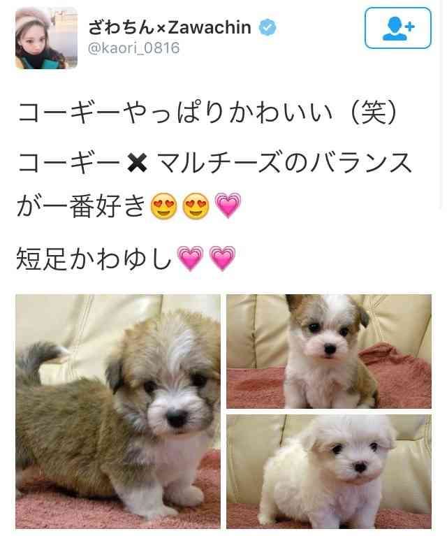 ざわちん、浜崎あゆみCDジャケットを完コピ