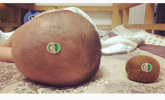 ちょっとだけ面白い画像やコピペが集まるトピ