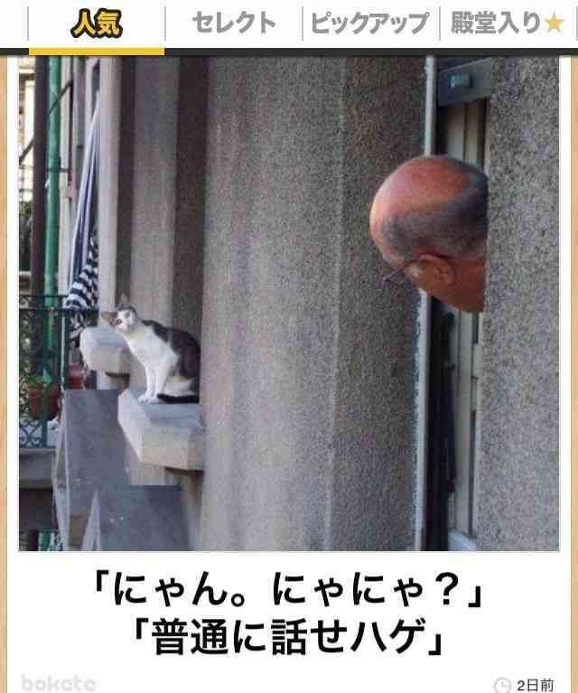 ちょっとだけ面白い画像やコピペが集まるトピ
