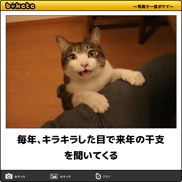 ちょっとだけ面白い画像やコピペが集まるトピ