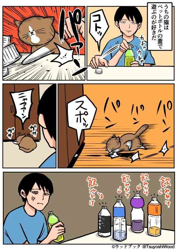 ちょっとだけ面白い画像やコピペが集まるトピ
