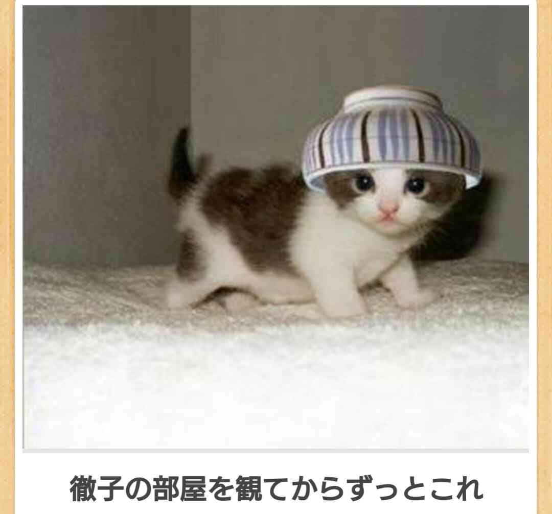 ちょっとだけ面白い画像やコピペが集まるトピ