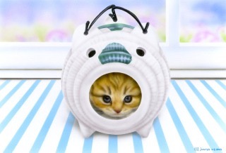 ちょっとだけ面白い画像やコピペが集まるトピ