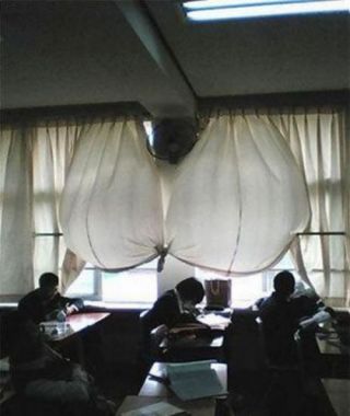 ちょっとだけ面白い画像やコピペが集まるトピ