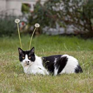 ちょっとだけ面白い画像やコピペが集まるトピ