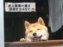 体質的に夏がダメな方!
