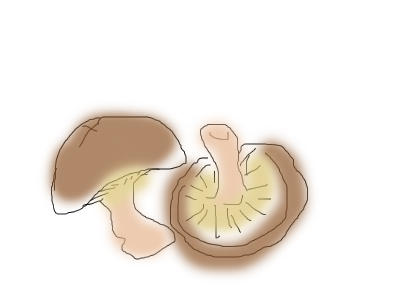 絵しりとりしませんか?