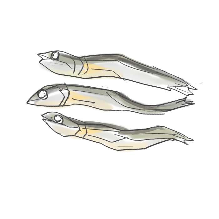 絵しりとりしませんか?