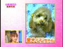 小倉優子　第2子妊娠を報告「お気付きの方もいらっしゃるかと」