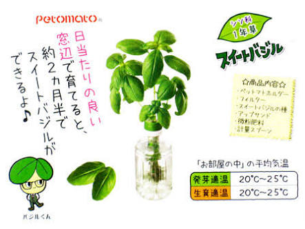 【教えて】ベランダで出来るプランター栽培
