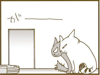 ルンバ使ってる人