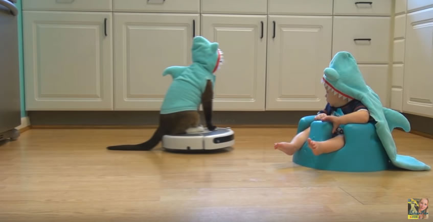 ルンバ使ってる人