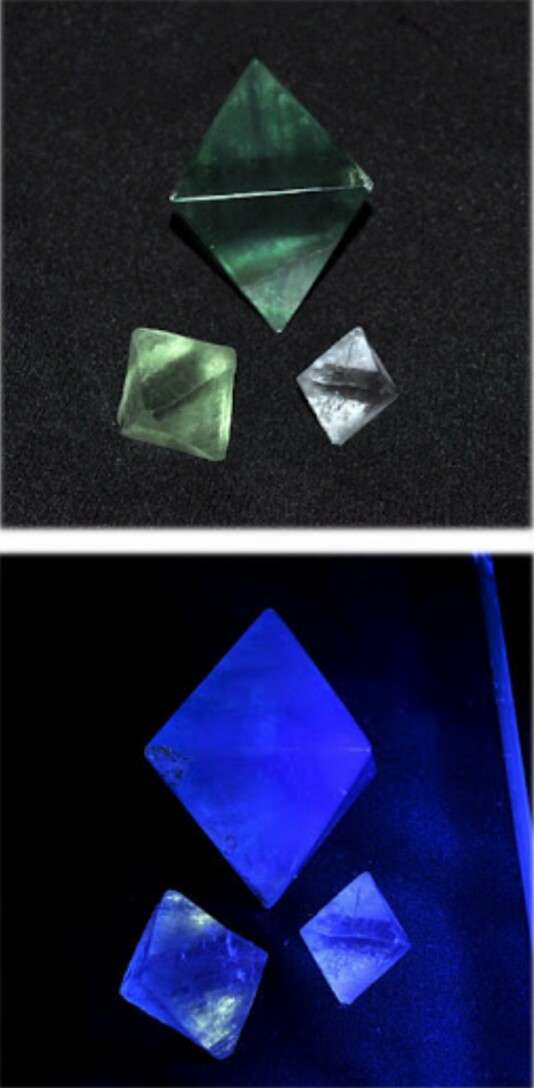 綺麗・可愛い石の画像