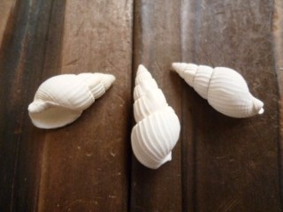 上手な巻き髪の作り方
