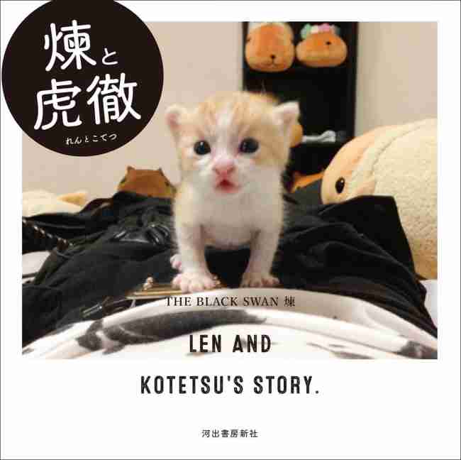 猫の可愛い画像下さい
