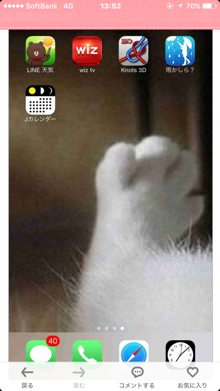 猫の可愛い画像下さい