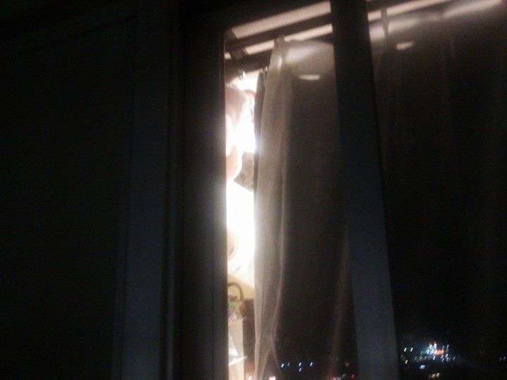 猫の可愛い画像下さい