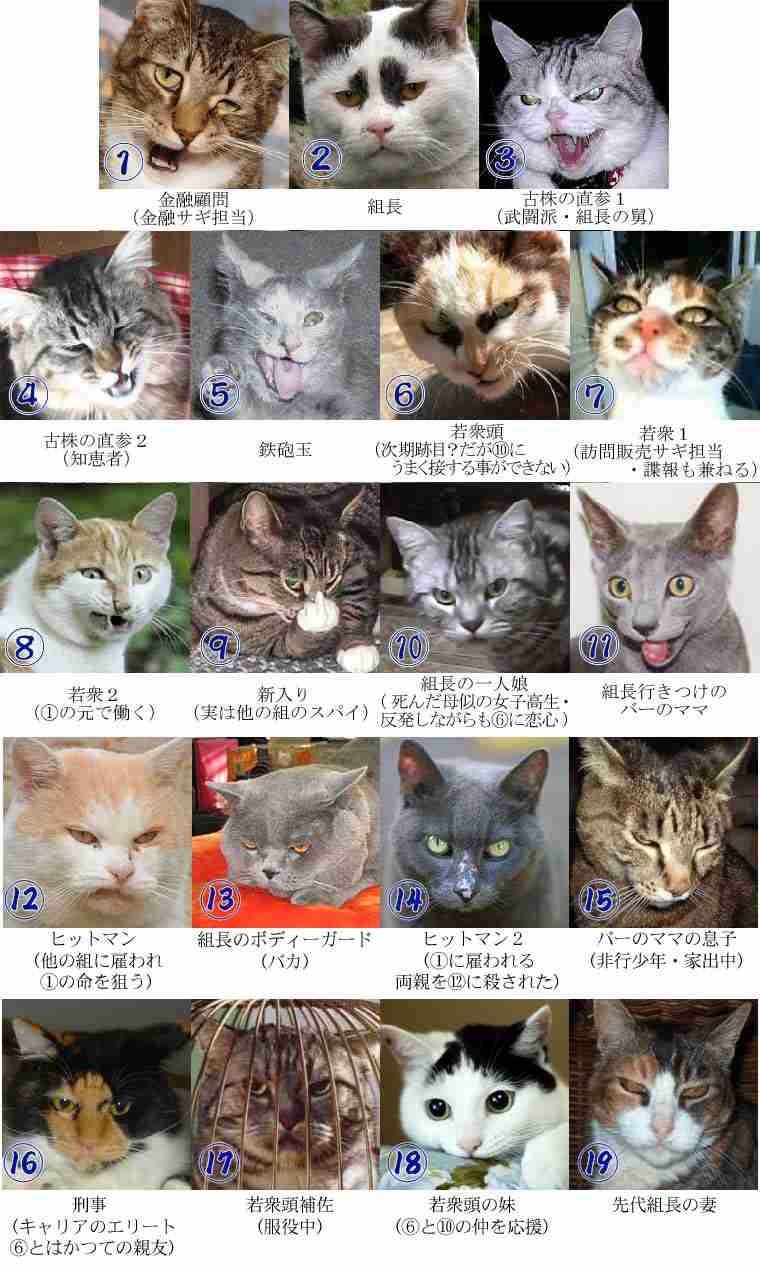 猫の可愛い画像下さい