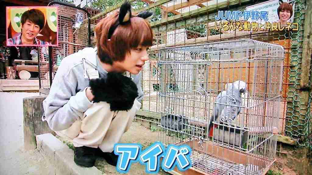 Hey!Say!JUMP伊野尾慧、マツコ・デラックスの生活習慣に驚き「ダメ人間じゃないですか…」
