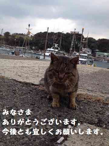 現代の日本人が大好きな「ことば」