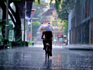 【梅雨入り】雨の日の対策！