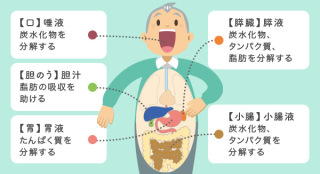 何かを画像で説明するトピ3