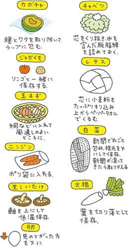 何かを画像で説明するトピ3