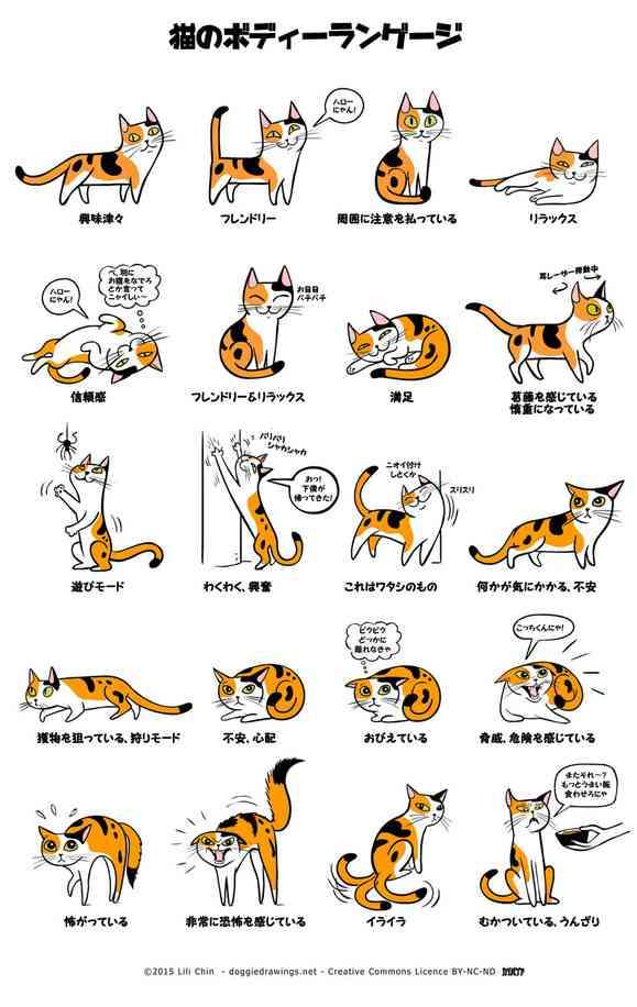 何かを画像で説明するトピ3