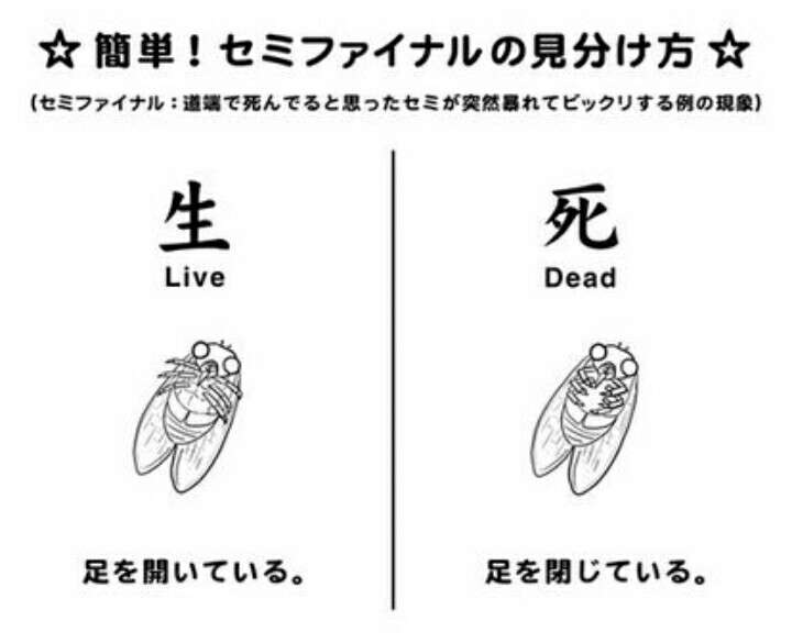 何かを画像で説明するトピ3