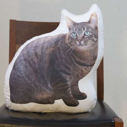 おもしろいクッションの画像ください！
