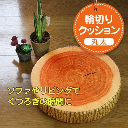 おもしろいクッションの画像ください！