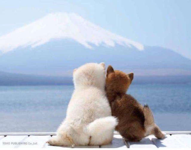 彼、夫のいい所を1つ書いて♡