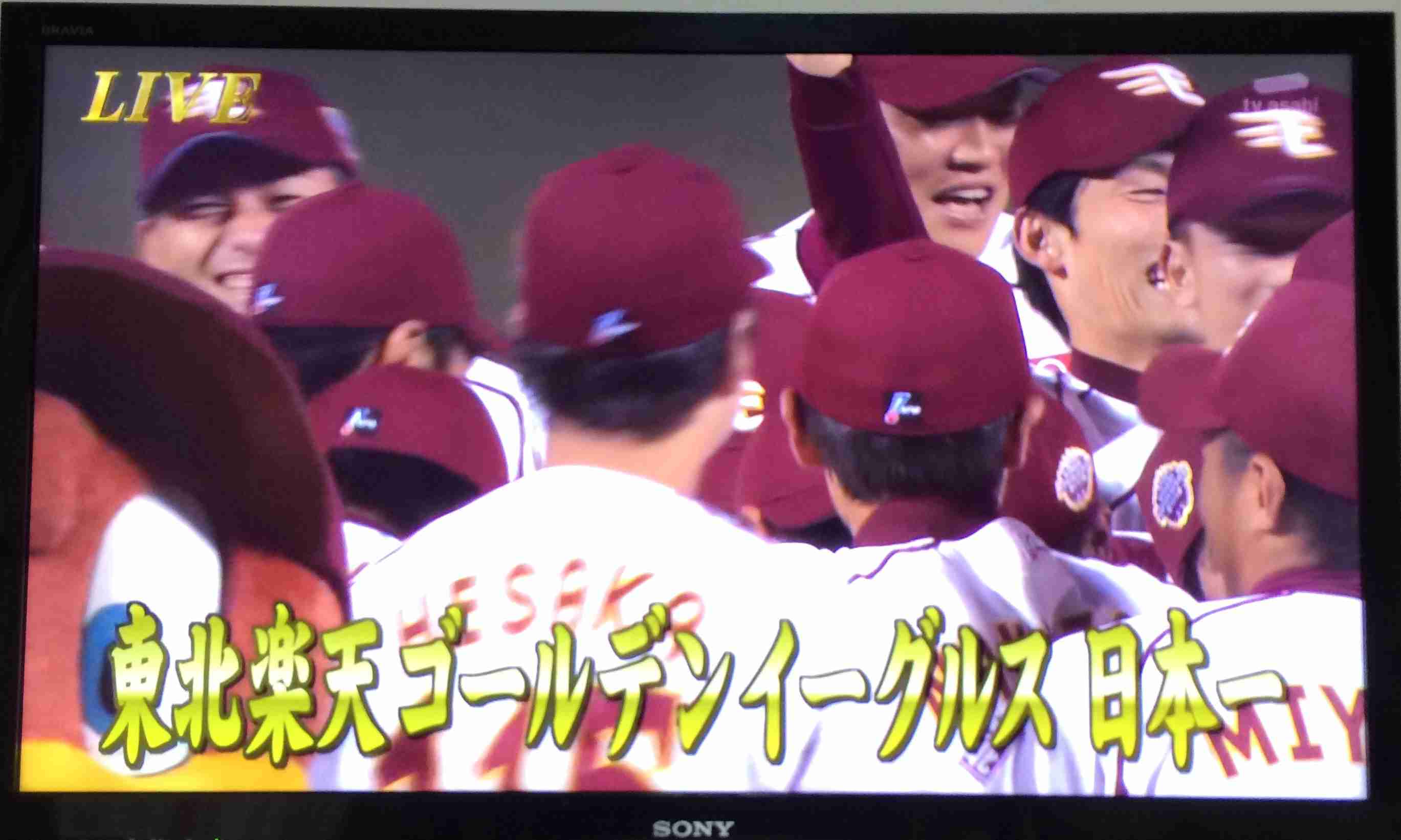 【プロ野球】東北楽天ゴールデンイーグルス好きな人