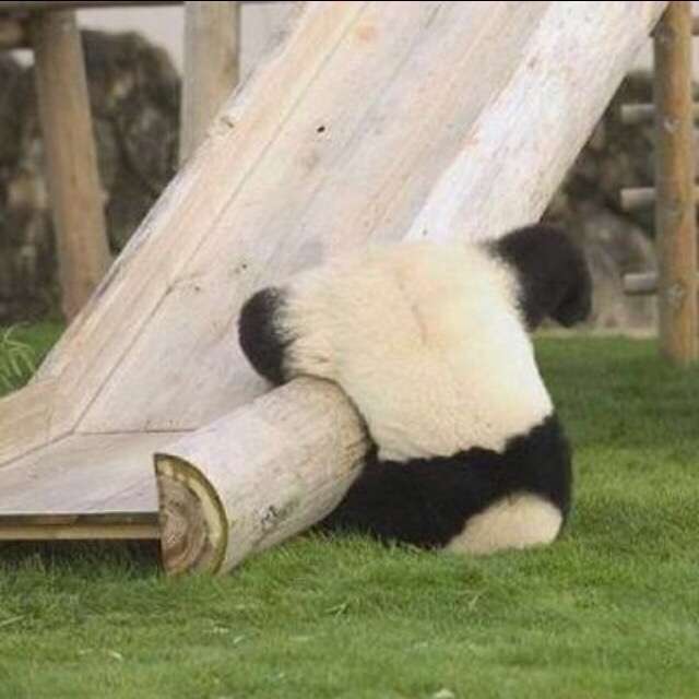 来世はどんな境遇に生まれてきたいですか?