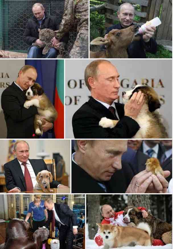  【画像】プーチン大統領、「子供の日」式典で子供を撫でたら子供が号泣
