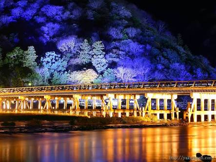 素敵な橋の画像