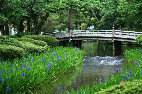 素敵な橋の画像