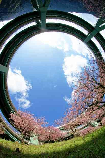 素敵な橋の画像