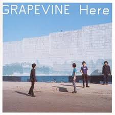 GRAPEVINE好きな人