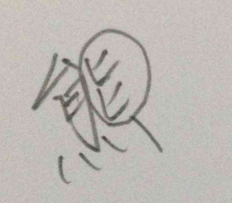 ひらがな 、カタカナ 、漢字 、書きにくい苦手な字はありますか