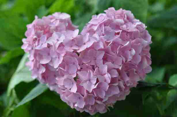 梅雨の肌荒れ対策