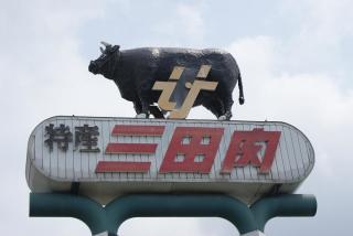 地元のメジャーじゃない場所でガルちゃんガイドブックを作ろう