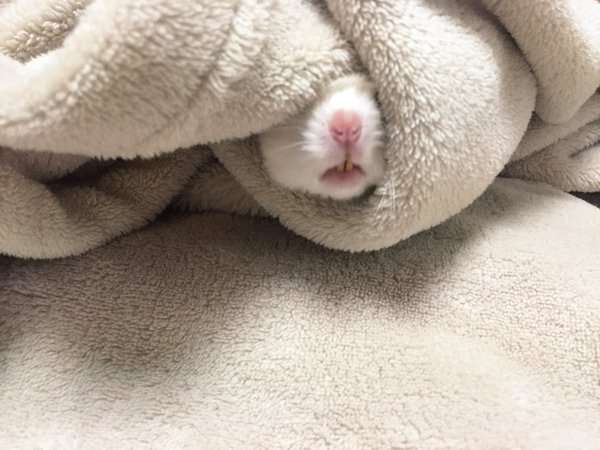 暇人が集まって時間を無駄にするトピ