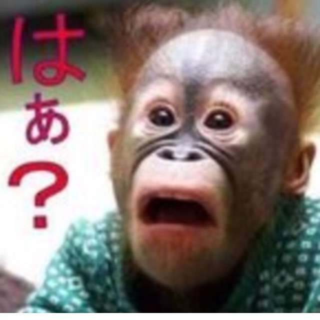 谷亮子議員、ポスト舛添に急浮上!永田町関係者「クリーンなイメージがある。東京五輪の知事にもってこい」