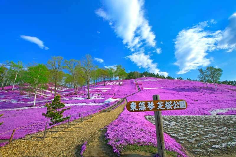 観葉植物やお花に癒されてる人