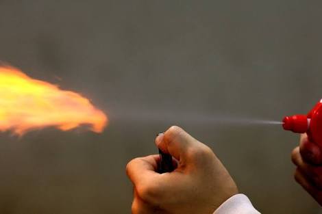 ゴキブリが殺虫剤に強くなった？「スーパーゴキブリが増えてるらしい」