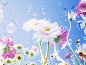 身近に清楚な人はいますか?